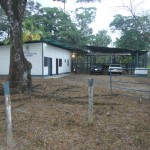 Cecosen3