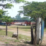 EntradaVaquera3