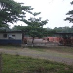 EntradaVaquera5