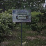 Jardinclonal4