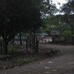Trcator2
