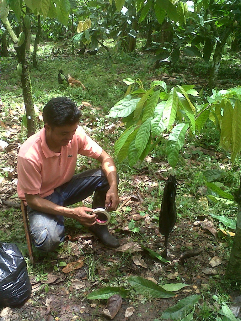 productores 2