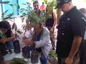 IMG-20131115-00758