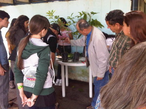 IMG-20131115-00760 - copia