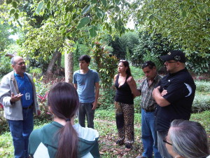 IMG-20131115-00765