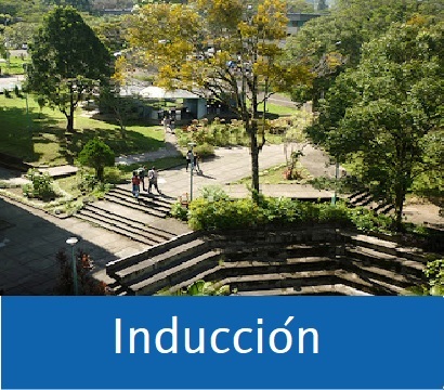 induccion