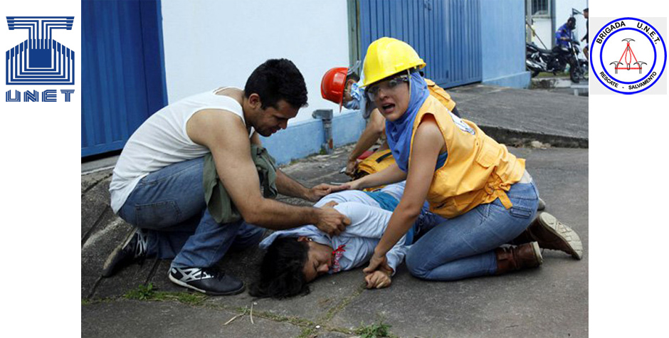 Brigada Emergencia