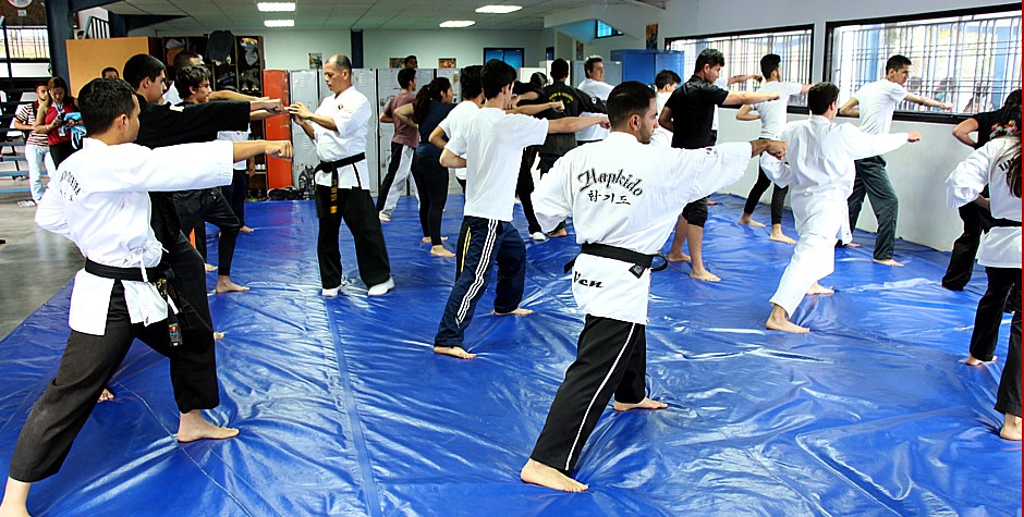 HAPKIDO UNET 12