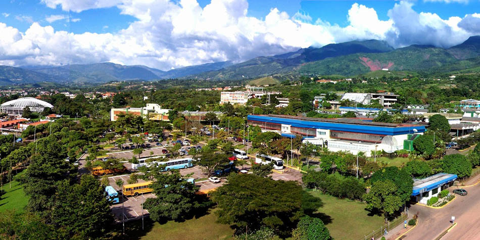 Vista UNET