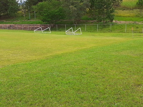 campo futbol