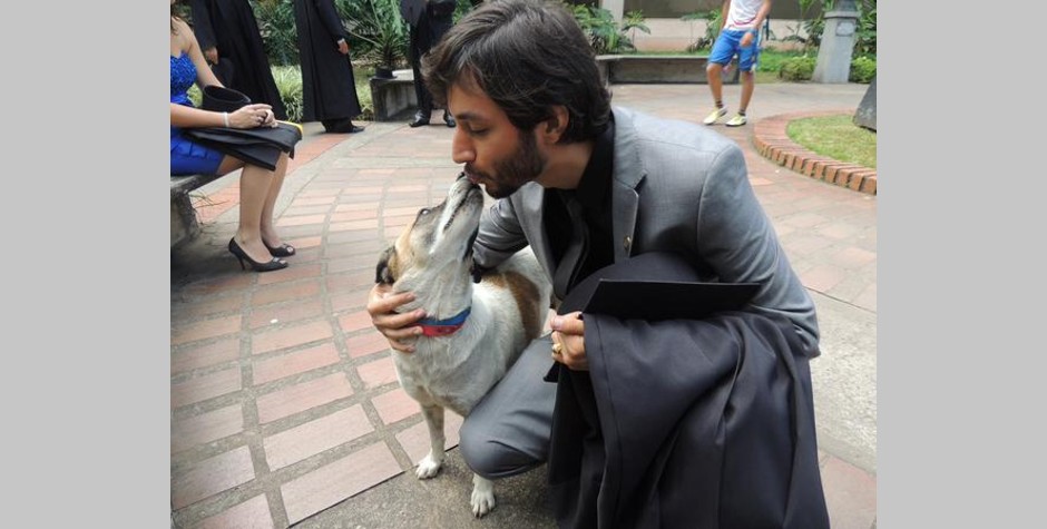 Brigada de cuidado canino