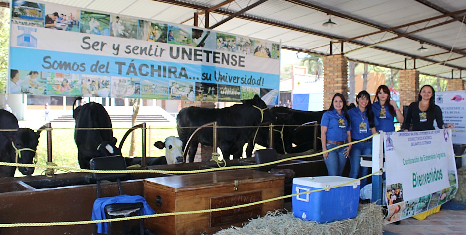 stand unet feria 3