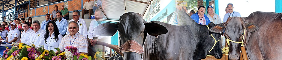 stand unet feria 5