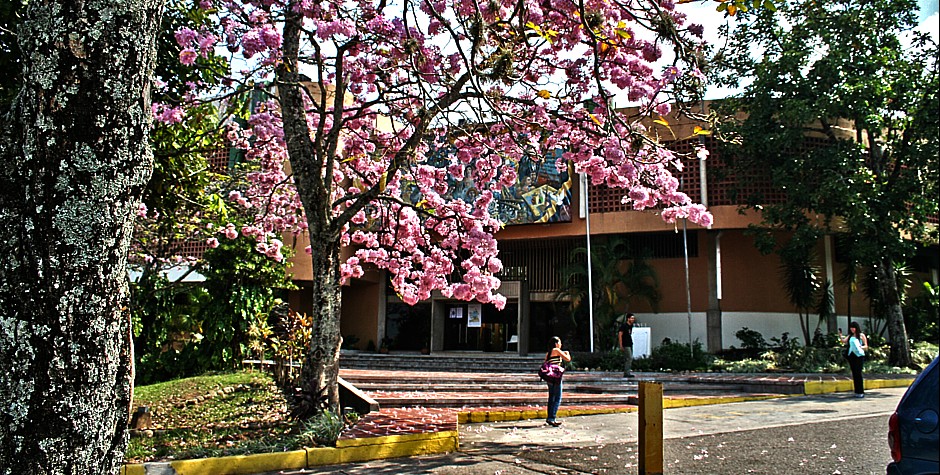 universidad crisis 1