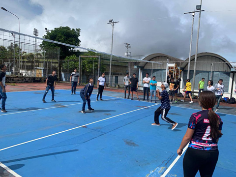 voleibol