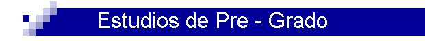 Estudios de Pre - Grado