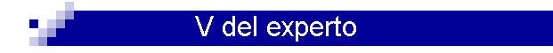 V del experto