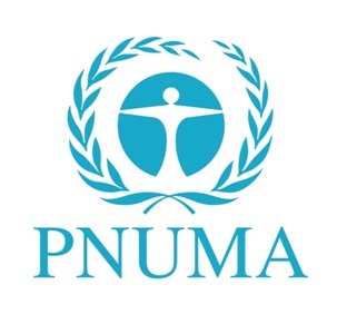 pnuma