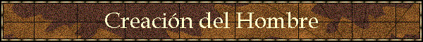 Creación del Hombre
