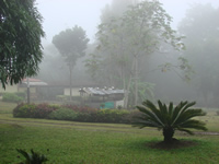 prueba