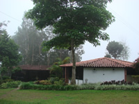 prueba
